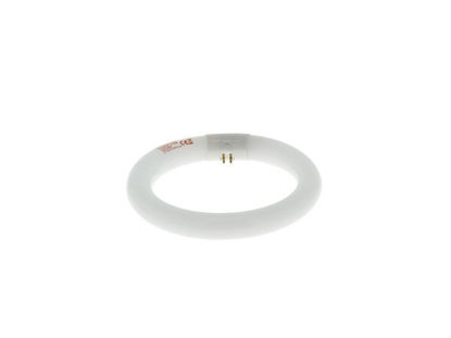 Image de Ampoule circulaire pour échelle lumineuse ELU080